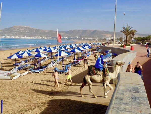 A beach with rows of blue and white umbrellas, a camel, and a mountainous backdrop.