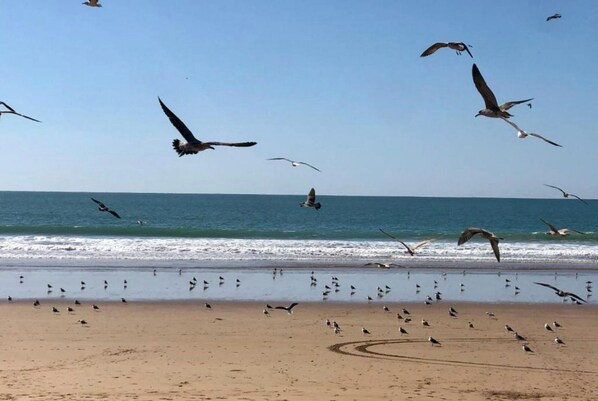 Plage