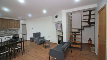 TV, fireplace