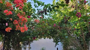 Eine hölzerne Bank in einem Garten mit blühenden Pflanzen und einer weißen Wand im Hintergrund.