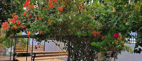 Terassi/patio