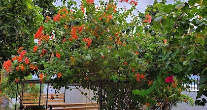 Luxury house fits 10+, good wifi, perfect location in sunny Bicolandia to enjoy.