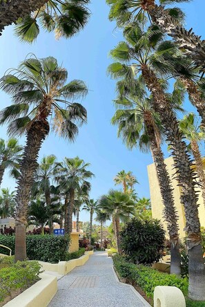 Overnattingsstedets uteområder