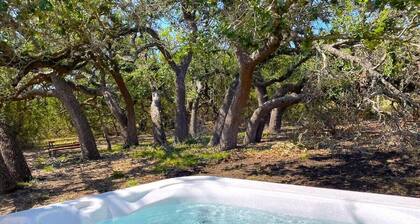 Hot Tub, Pet Friendly, Secluded, Wine Road 290
