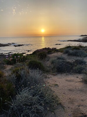Playa en los alrededores y camastros 