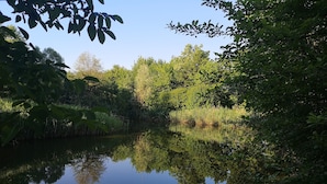 A calm river surrounded by dense greenery and trees. - La Via Antiga - Apartment # 1 (Torre di Mosto)