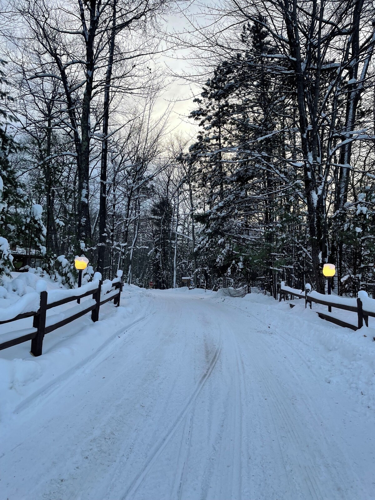 Imagen de perfil del propietario o de la propietaria