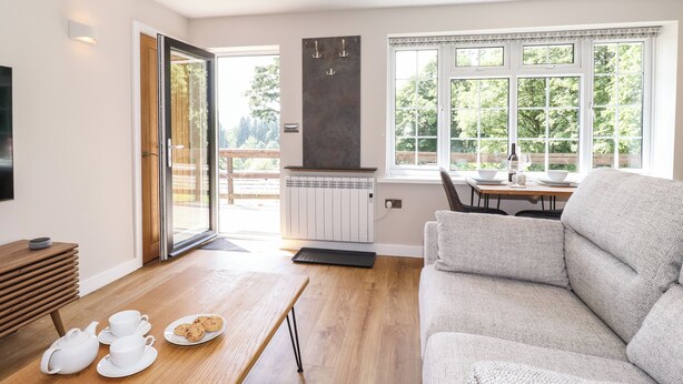 Un salon moderne comprenant un canapé, une table basse en bois avec des théières et des biscuits, un coin repas avec une table et des chaises, et une grande fenêtre donnant sur un paysage verdoyant.