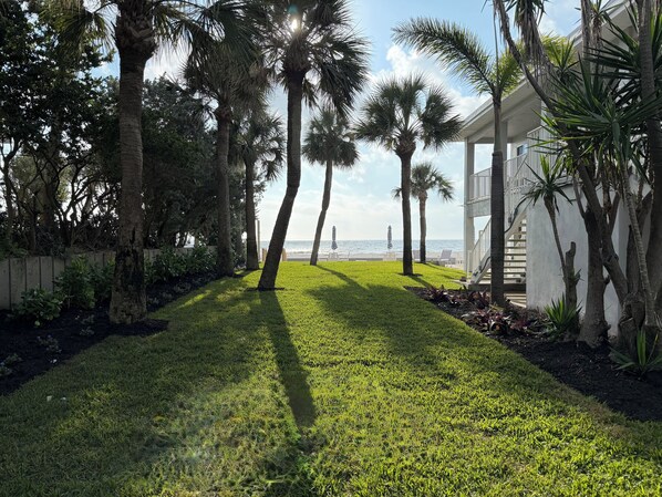 A well-maintained lawn with palm trees, a white building with a balcony, and a view of the ocean.