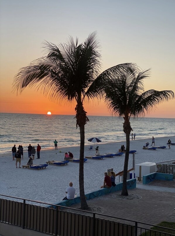 Guests can enjoy a leisurely beach experience with palm trees, beach chairs, and umbrellas along the shore.