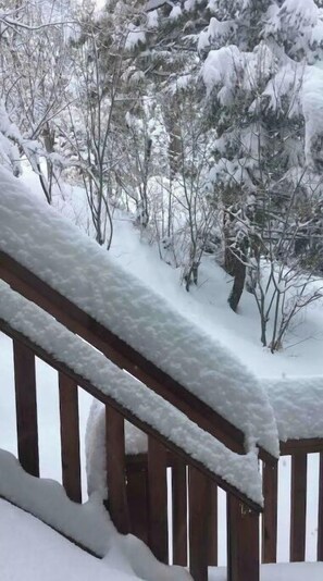 Property grounds - Hallelujah Forest (Big Bear Lake)