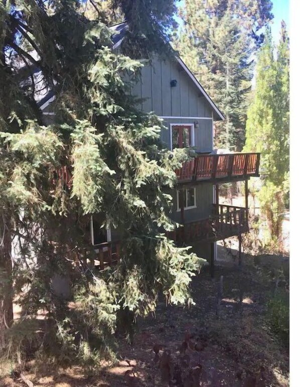 Exterior - Hallelujah Forest (Big Bear Lake)