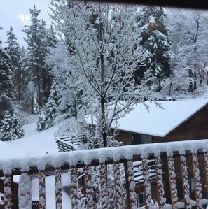 Property grounds - Hallelujah Forest (Big Bear Lake)