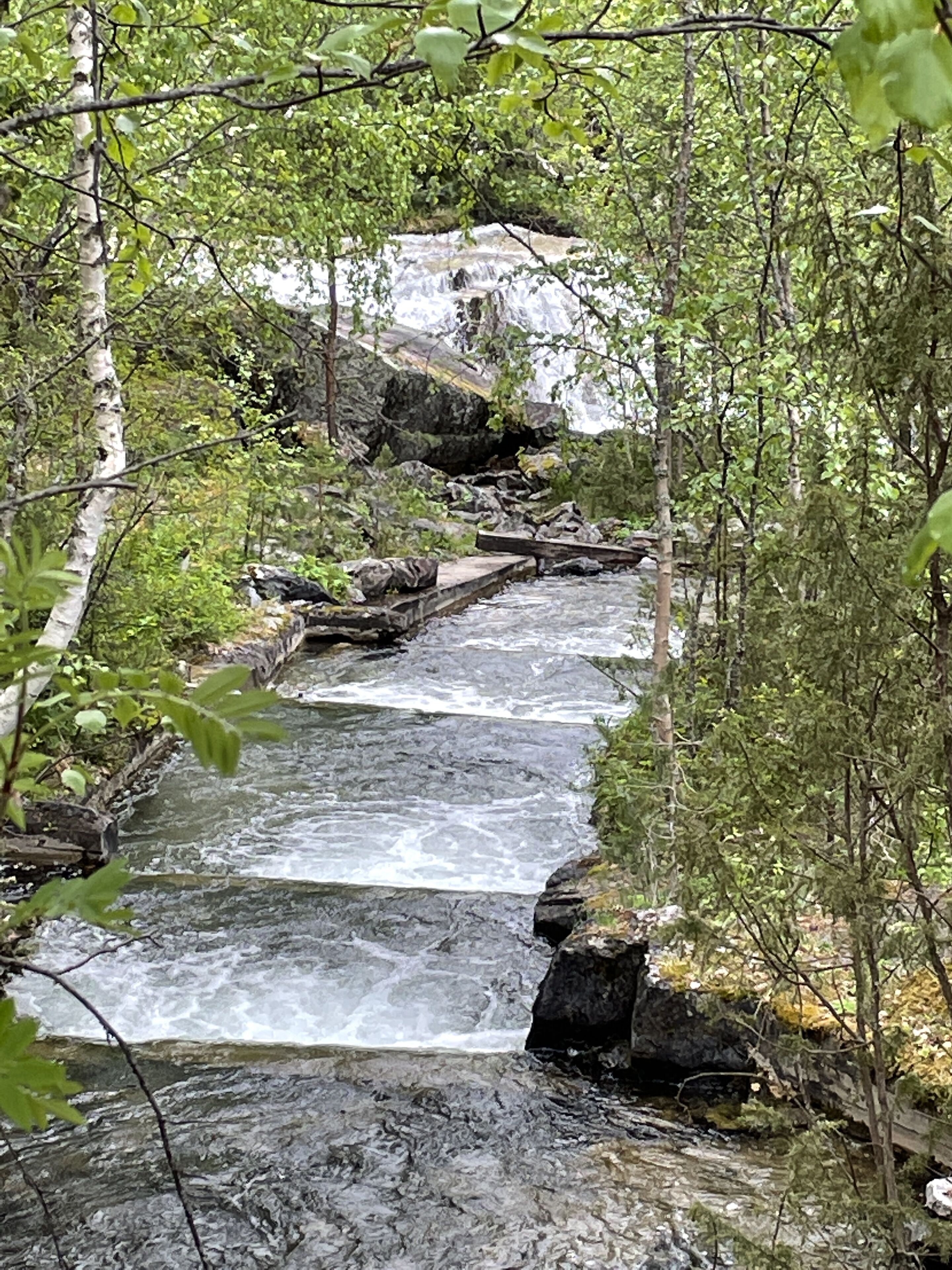 A natural waterfall with a stone pathway leading through a forested area.