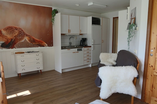 Design Apartment, 2 Twin Beds, Non Smoking, Lake View | Private kitchen | Full-size fridge, microwave, stovetop, coffee/tea maker