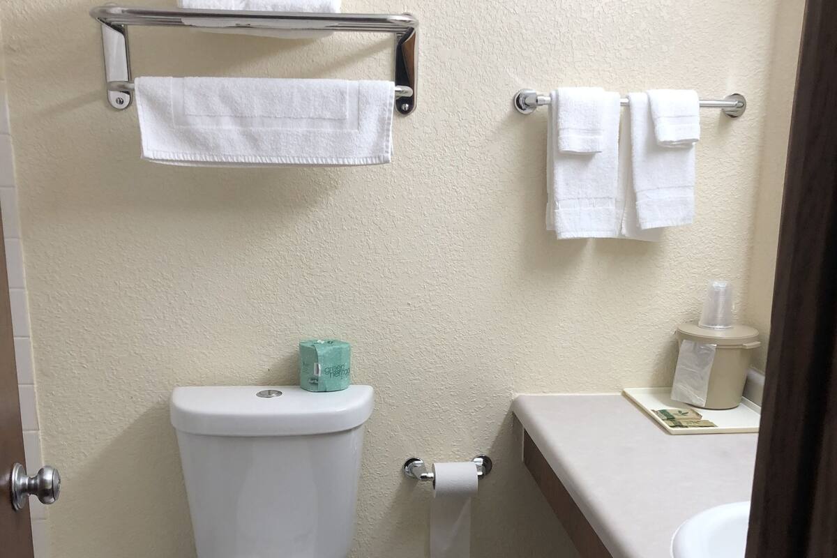 A bathroom with a toilet, a sink, and a towel rack.