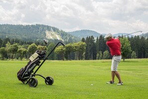 Golf - Country house Amselhof Hinterzarten Maisonette 1 (Hinterzarten)