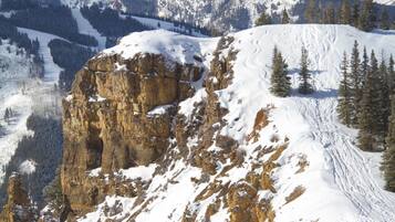 A snow-covered mountain with rocky outcrops and pine trees.
