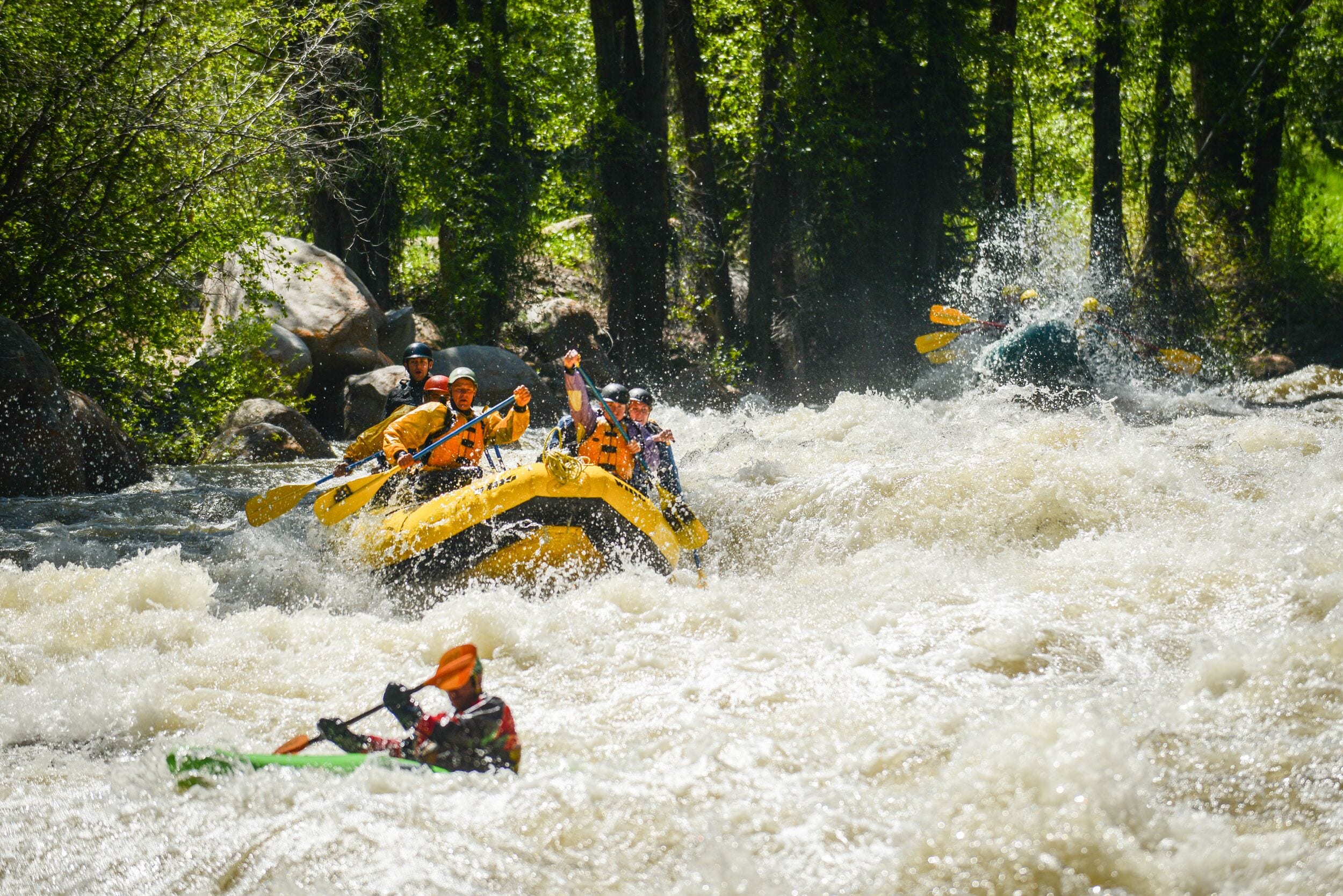 Un grupo de personas en kayaks en un río rodeado de árboles.