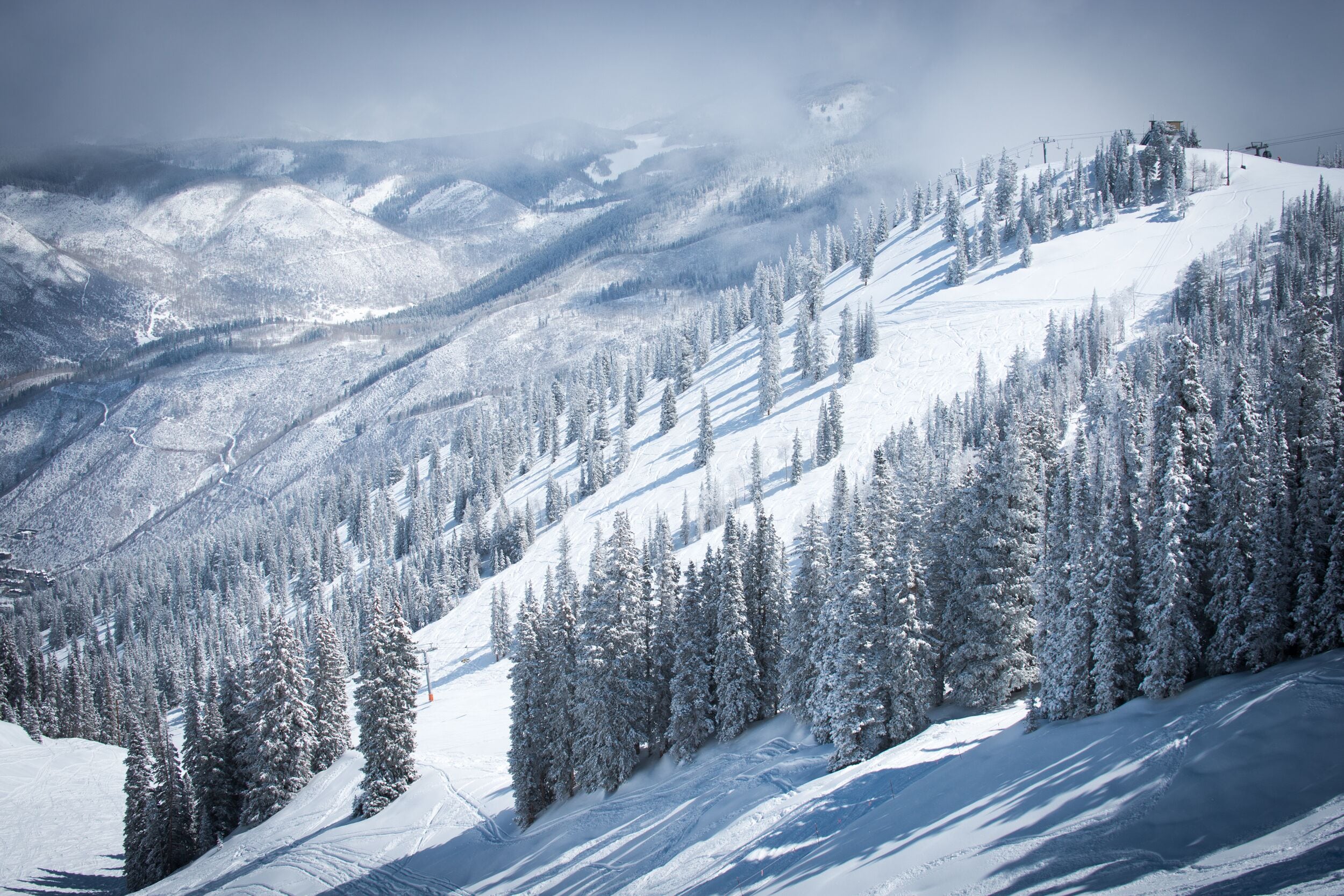 Un paysage de montagne enneigé, avec des pistes de ski et des arbres.