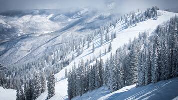 Un paysage de montagne enneigé, avec des pistes de ski et des arbres.