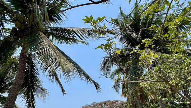 Beach - Hotel Familiar El Dorado (Zihuatanejo)