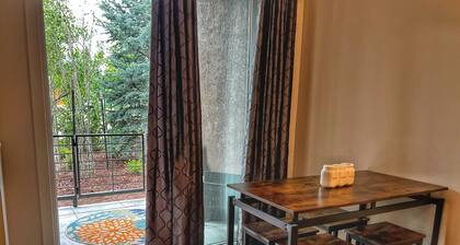 Downtown condo short walk to lake, patio and awesome common area