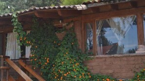 Azares - Rancho Las Joyas (Valle de Bravo)
