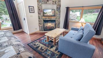 Télévision, cheminée, lecteur de DVD