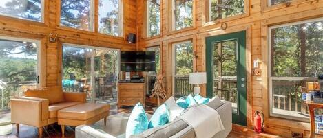 Télévision, cheminée, lecteur de DVD, chaîne hi-fi