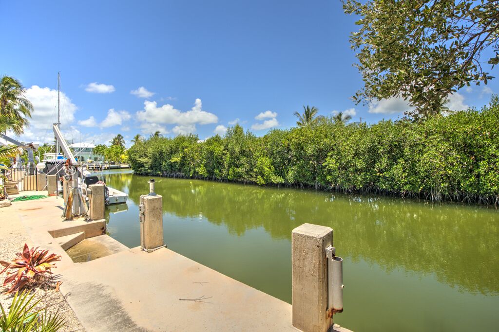 A marina with boats docked, a concrete walkway, and a riverbank lined with dense vegetation.