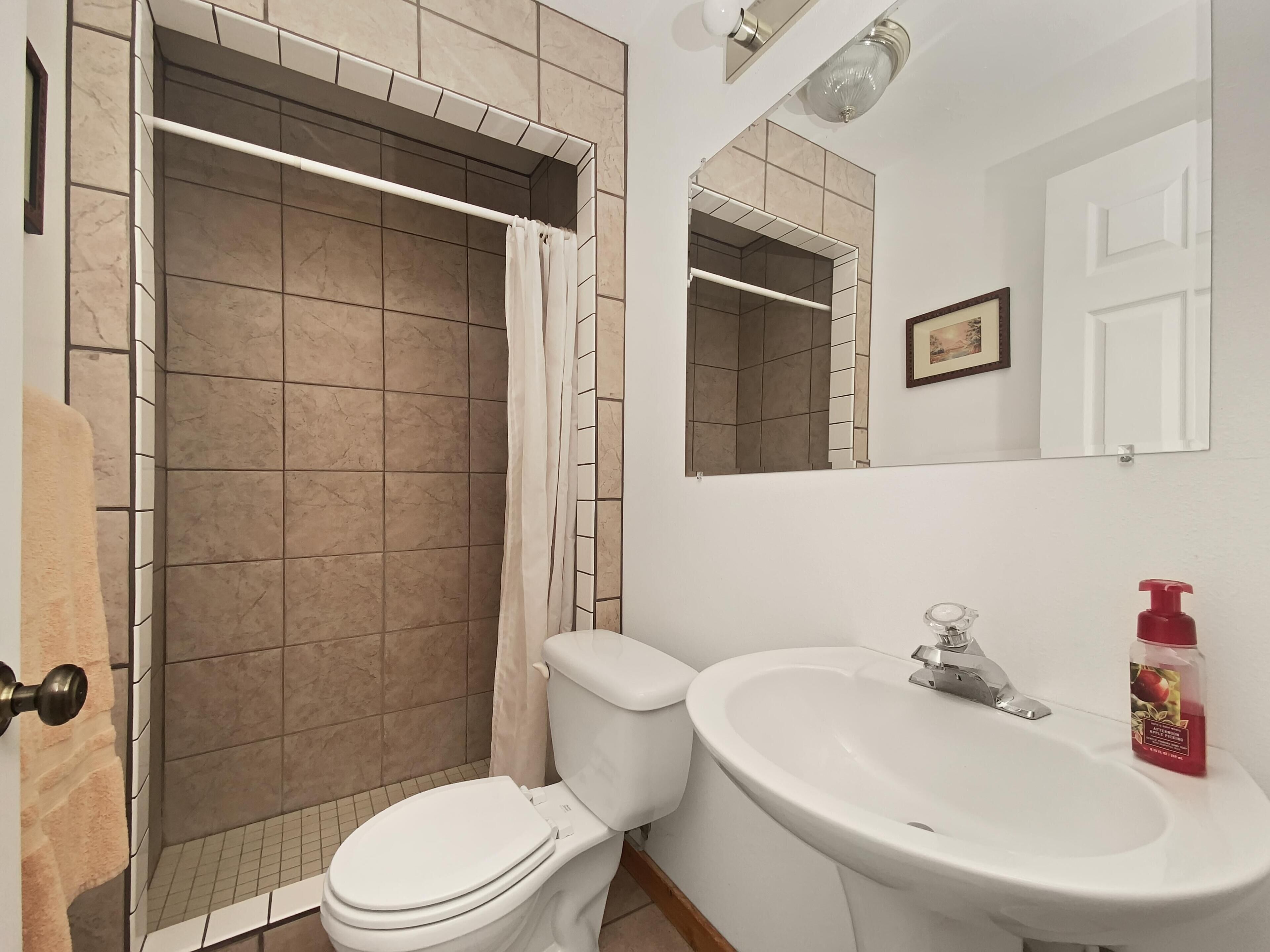 A bathroom with a shower, toilet, sink, and a mirror.