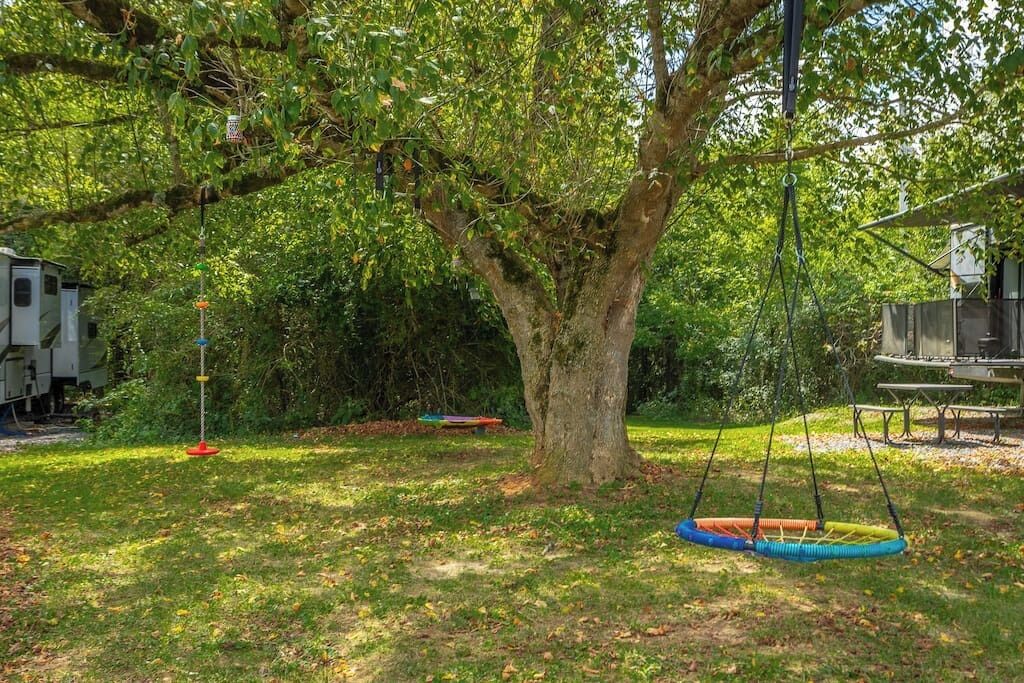 A tree with a swing set and a picnic table in a backyard.