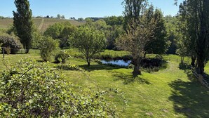Un paisaje rural con un estanque, árboles y una cerca.