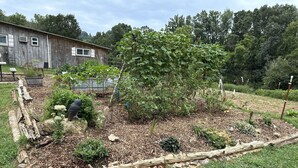 A garden with a wooden structure, various plants, and a stone pathway.