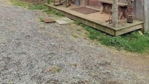 A rustic wooden building with a porch, a door, and various decorative items including a flag.
