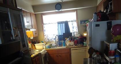 Nice cozy apartment
