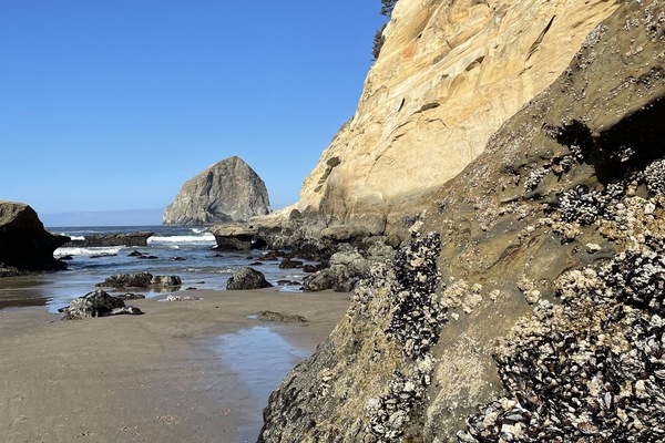 Perto da praia, toalhas de praia