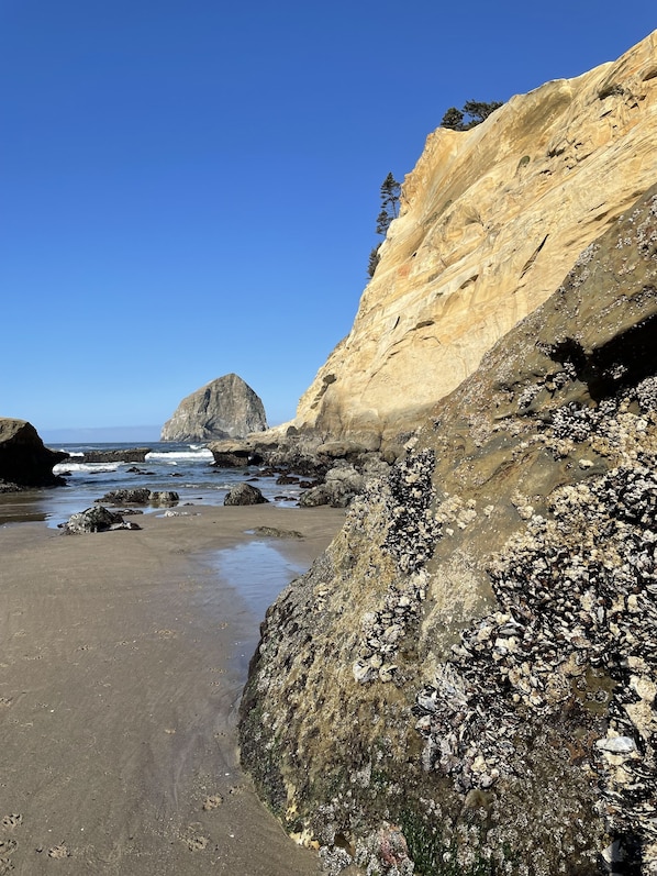 Beach nearby, beach towels