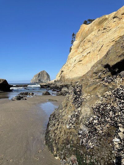 3 BR/3BA vacation home- minutes from the beach!