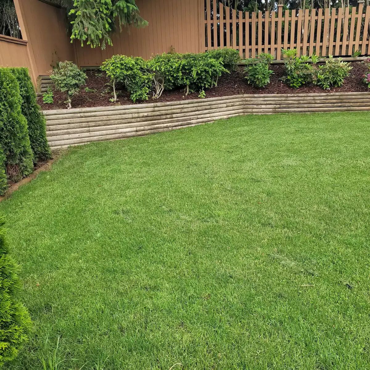 A well-maintained lawn with a wooden fence and neatly trimmed bushes.