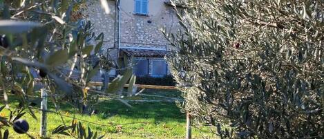 Jardines del alojamiento