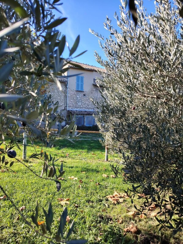 Terrain de l’hébergement 