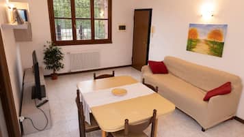 Fernseher, Bücher