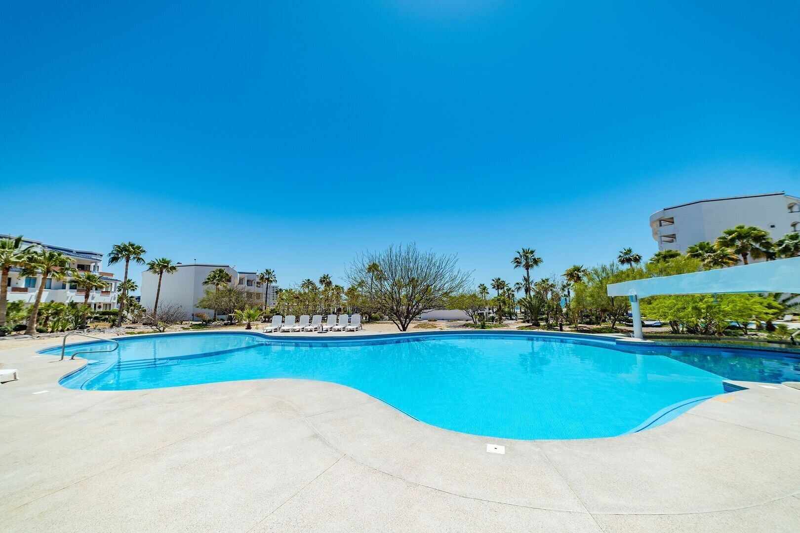A swimming pool with lounge chairs, palm trees, and a clear blue sky.
