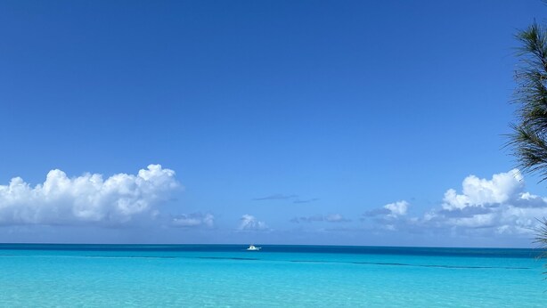 A clear blue sea with a boat in the distance and a palm tree on the right. - 3 bedroom home with pool (Sandys)