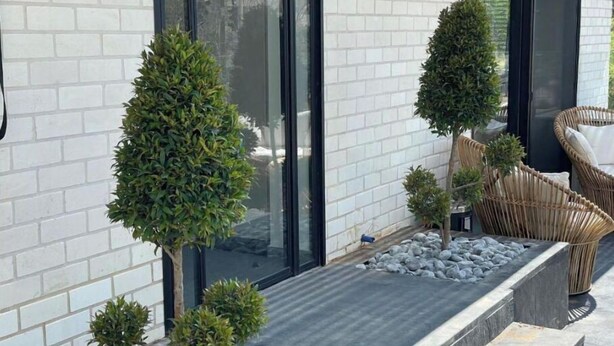 Un edificio moderno con paredes de ladrillo blanco y grandes ventanales. Hay macetas pequeñas y ordenadas con arbustos y un árbol.