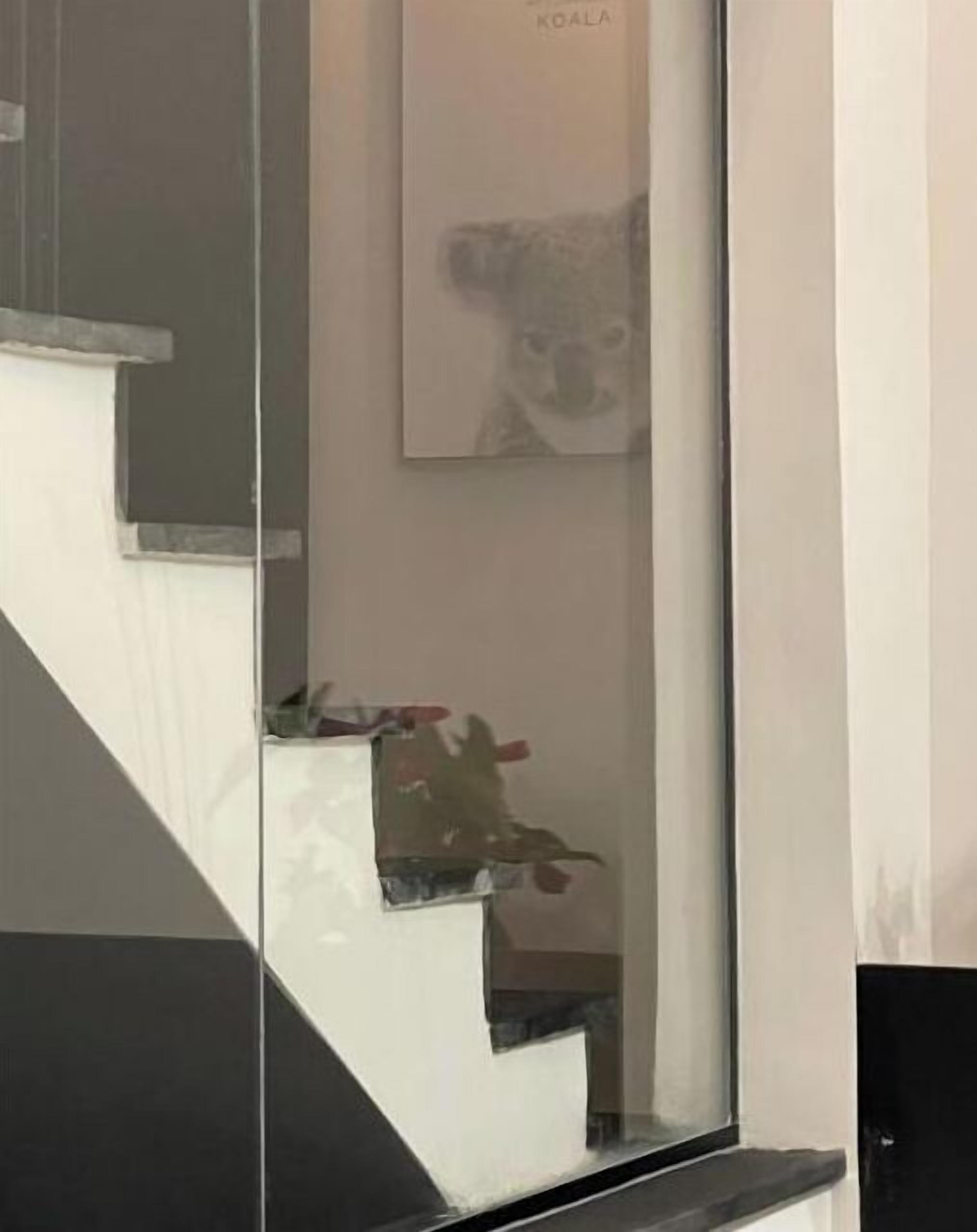 Un escalier doté d’un panneau de verre et d’un tableau encadré représentant un koala, accroché au mur.