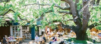 Spectacular Large House with Lush Views