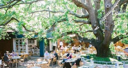 Spectacular Large House with Lush Views